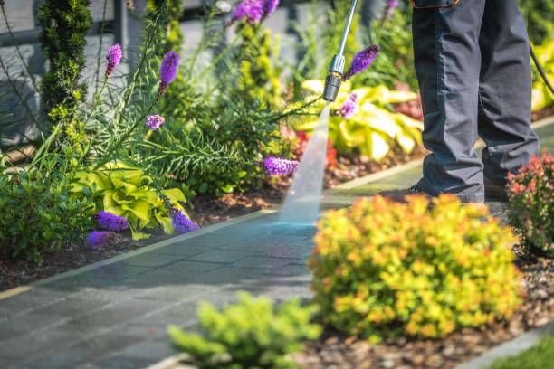 Best Dumpster Area Cleaning  in San Francisco, CA